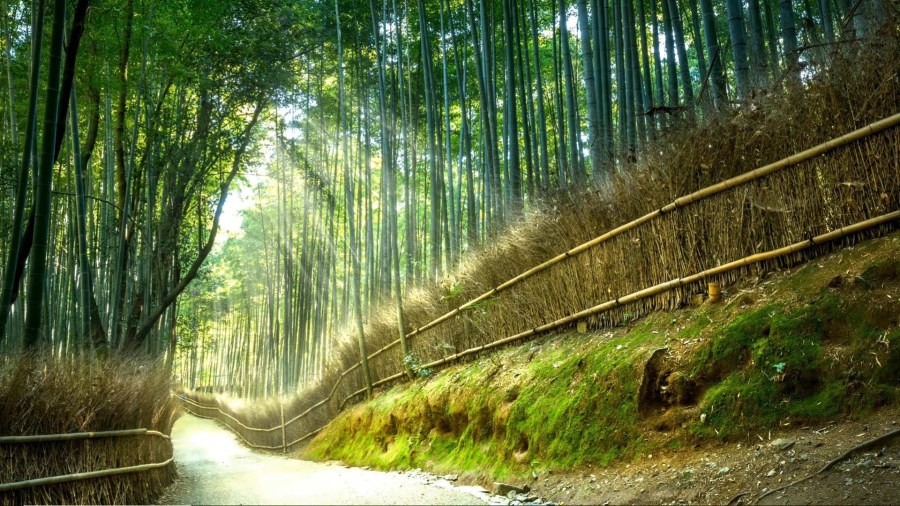 永遠不要向別人解釋你自己