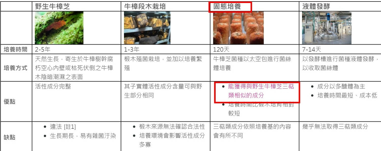 UBUA牛樟芝膠囊/台灣獨有的牛樟芝/森林中的紅寶石 - 第11張圖