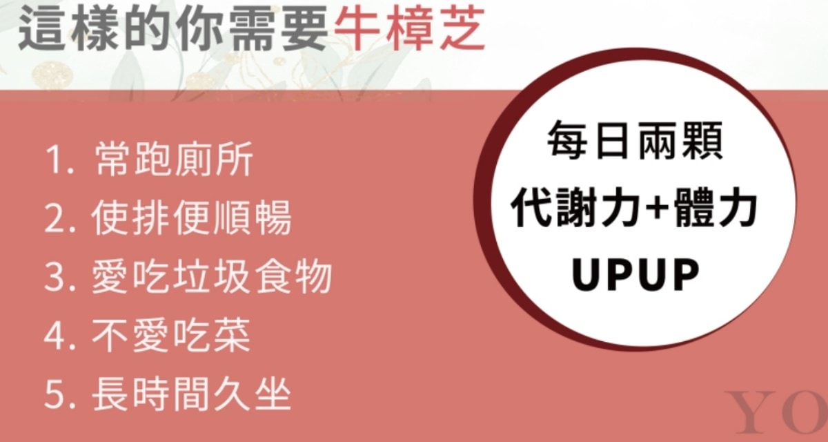 UBUA牛樟芝膠囊/台灣獨有的牛樟芝/森林中的紅寶石 - 第12張圖