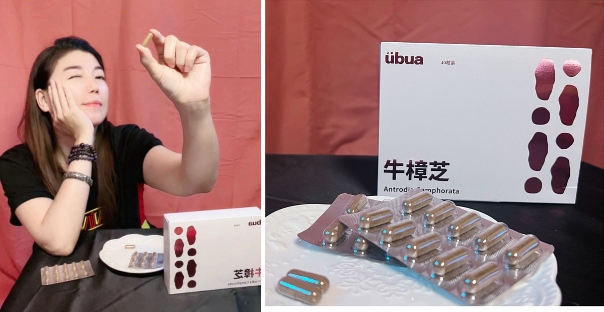 UBUA牛樟芝膠囊/台灣獨有的牛樟芝/森林中的紅寶石 - 第13張圖