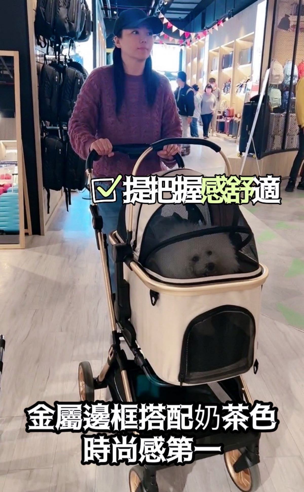 寵愛毛孩/給他最好的【bobos】X9時尚寵物多功能手推車/寵物提籃 - 第14張圖