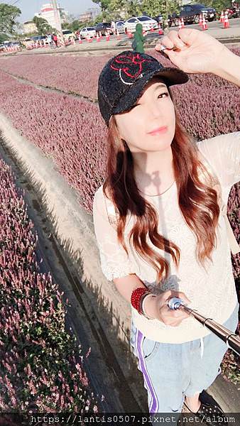 楊梅花海_181206_0007.jpg