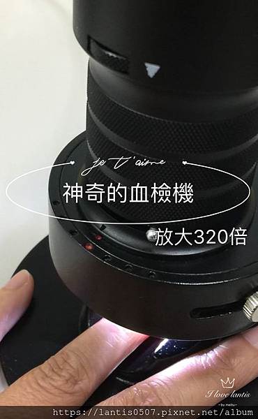 S__135962704.jpg