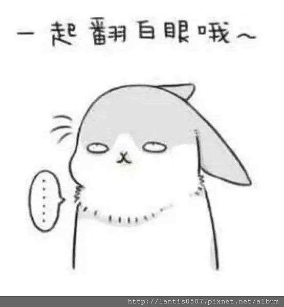 S__97124397.jpg