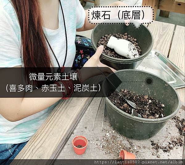 S__141164549.jpg